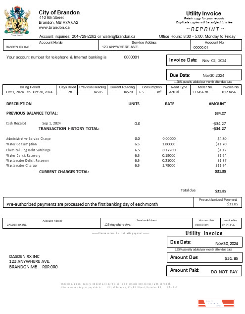USA BRANDON MISSISSIPPI business utility bill Word and PDF template PSD template